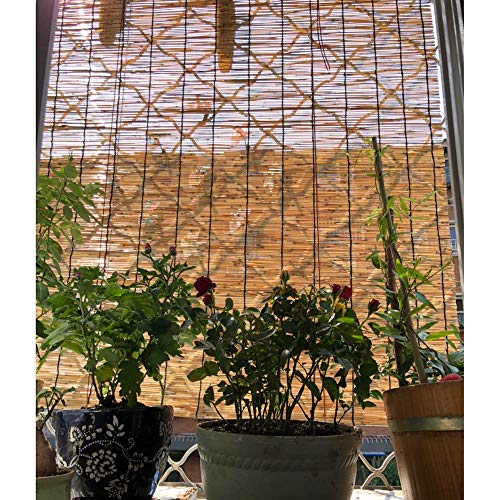 Comparativas de Enrollable térmico ahorro energía para comprar hoy. 18 Imagen adicional