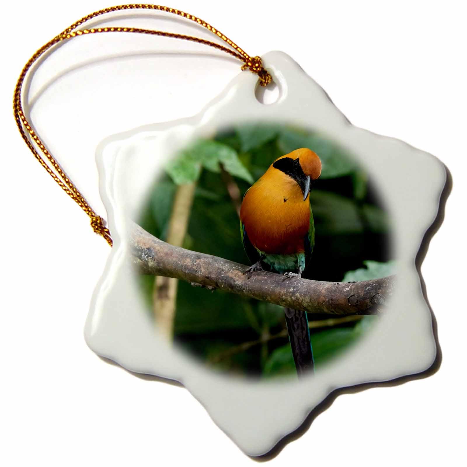 3dRoseRufous Motmot, Costa Rica, Central America - Ornaments (orn-380587-1)