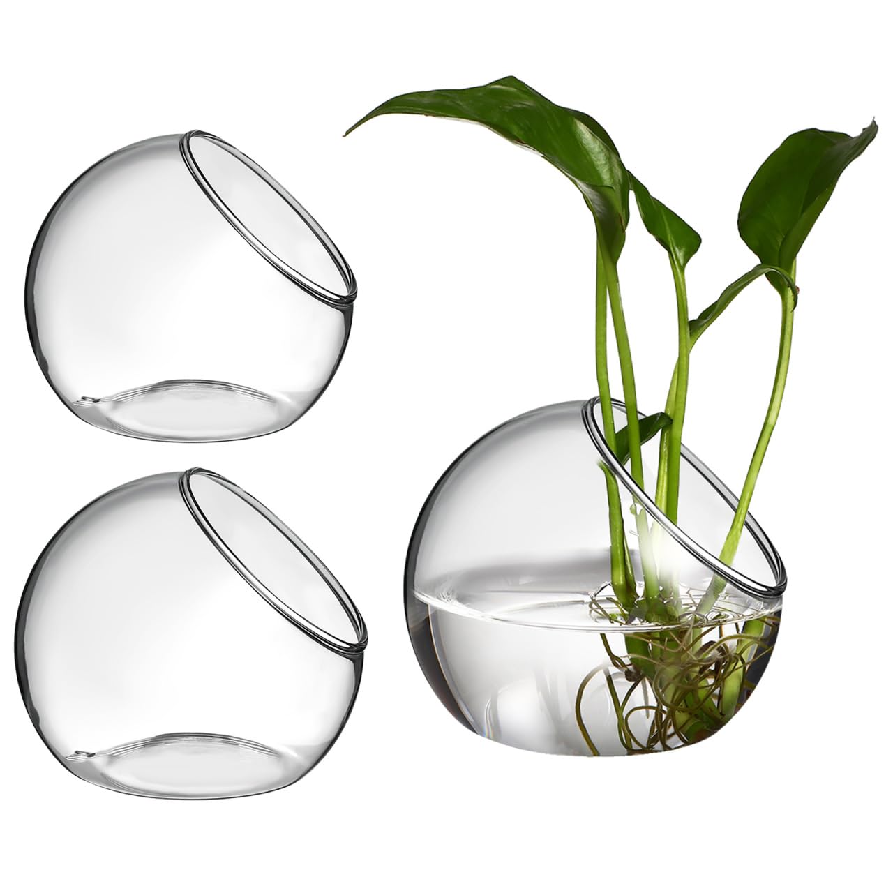 Terrarium en verre pour plante à air Toddmomy décoration de bureau et maison