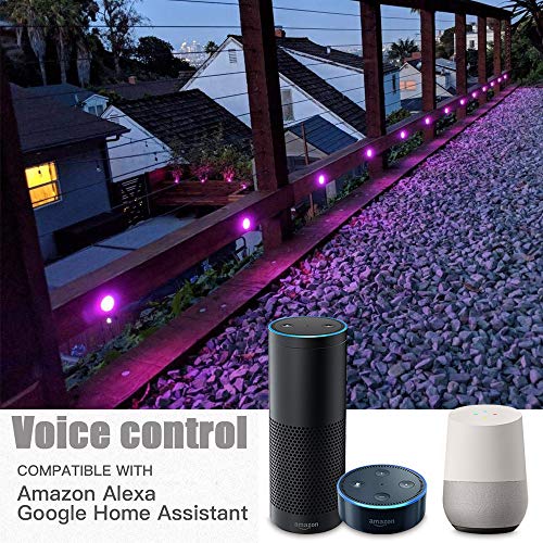 Image of FVTLED WiFi LED Deck Lights Kit RGBW, 10pcs Φ1.77 Smartphone Control Low Voltage Recessed Muticolor and Warm White Bottom Yard Path Stair Decor Lamp Suitable for Alexa Google Home, Black