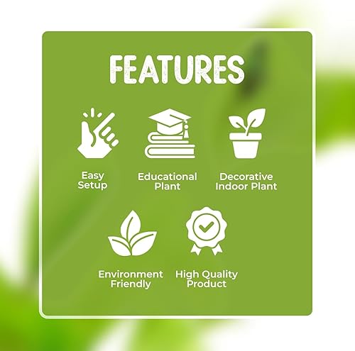 Vista 13 de Venus - Trampa para moscas con maceta de cristal elegante de 2.5 pulgadas, planta carnívora que come insectos - Plantas carnívoras suelo