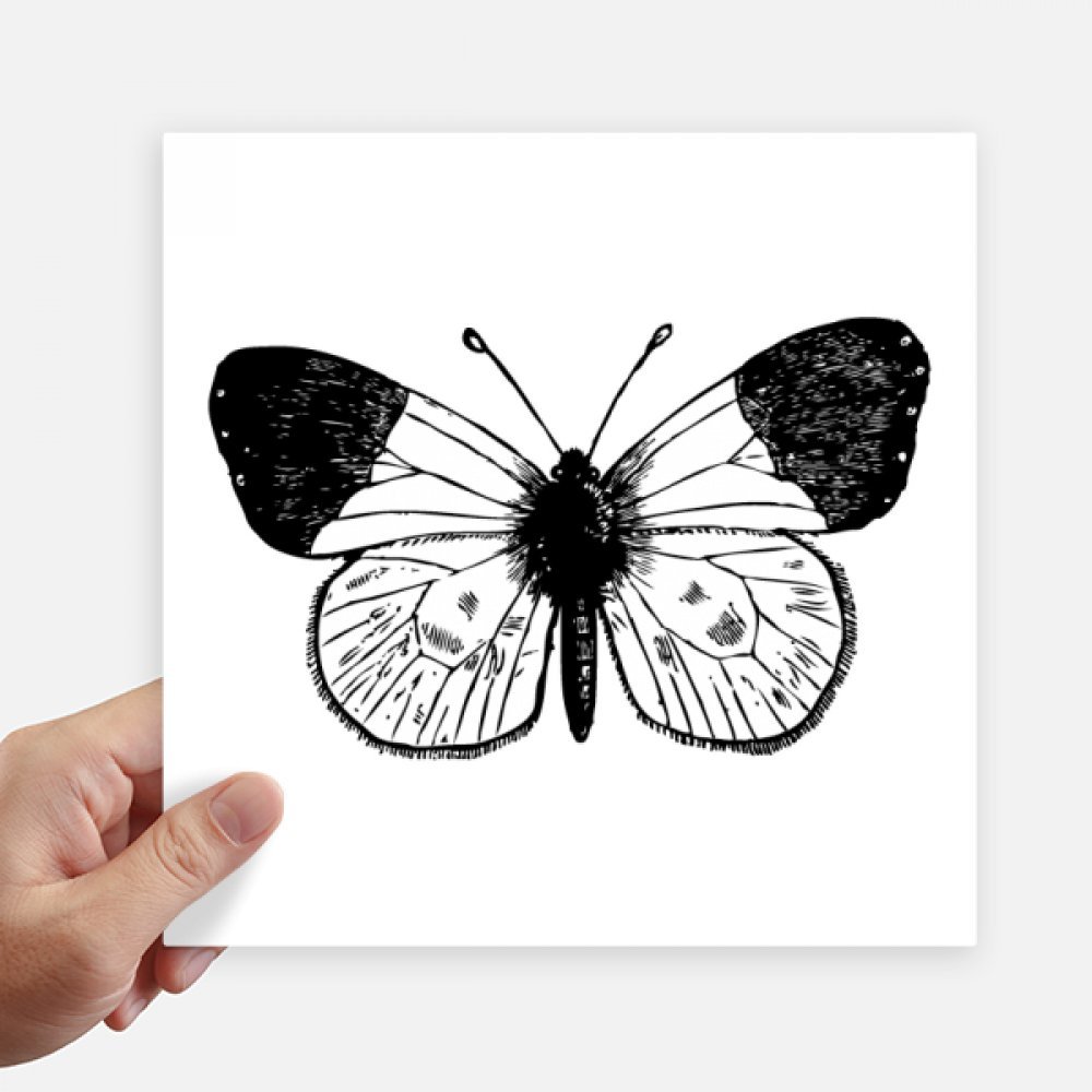 Sticker ailes de papillon blanc 20 cm pour masquer les rayures de valise et moto