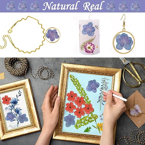 Flores secas prensadas azul púrpura para artesanía resina miniatura 6