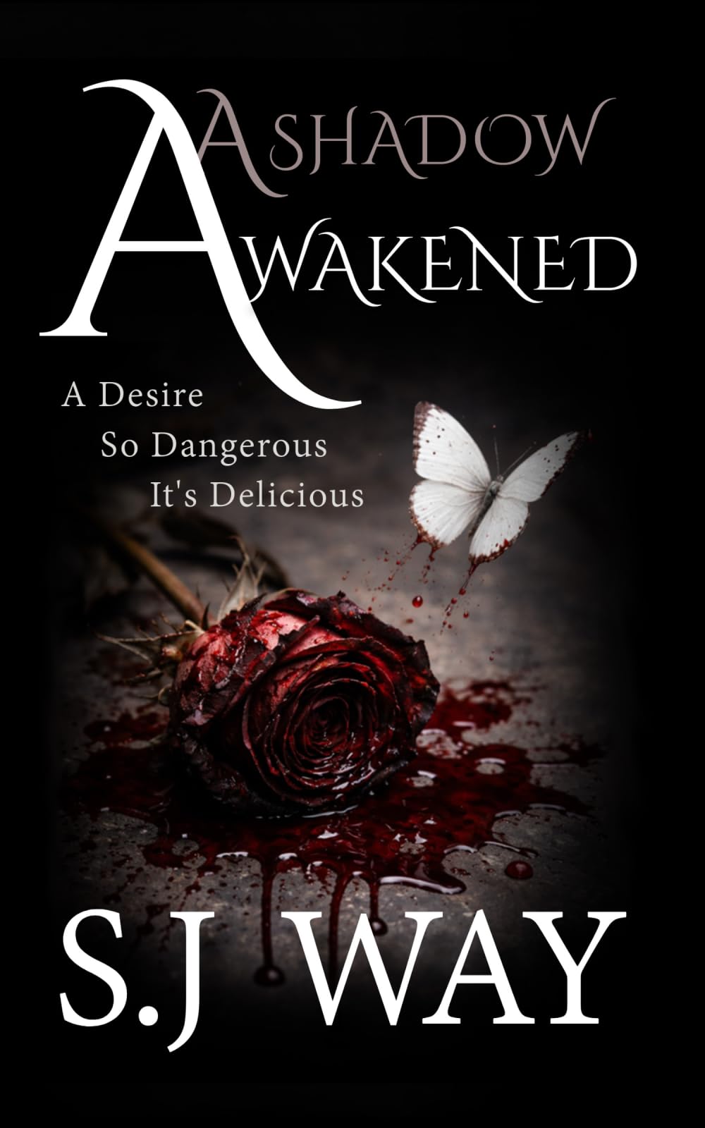 A Shadow Awakened: 1 (The Shadow Warden Series)