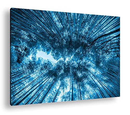 Deyoli Cabecero en bosque de bambú. Formato