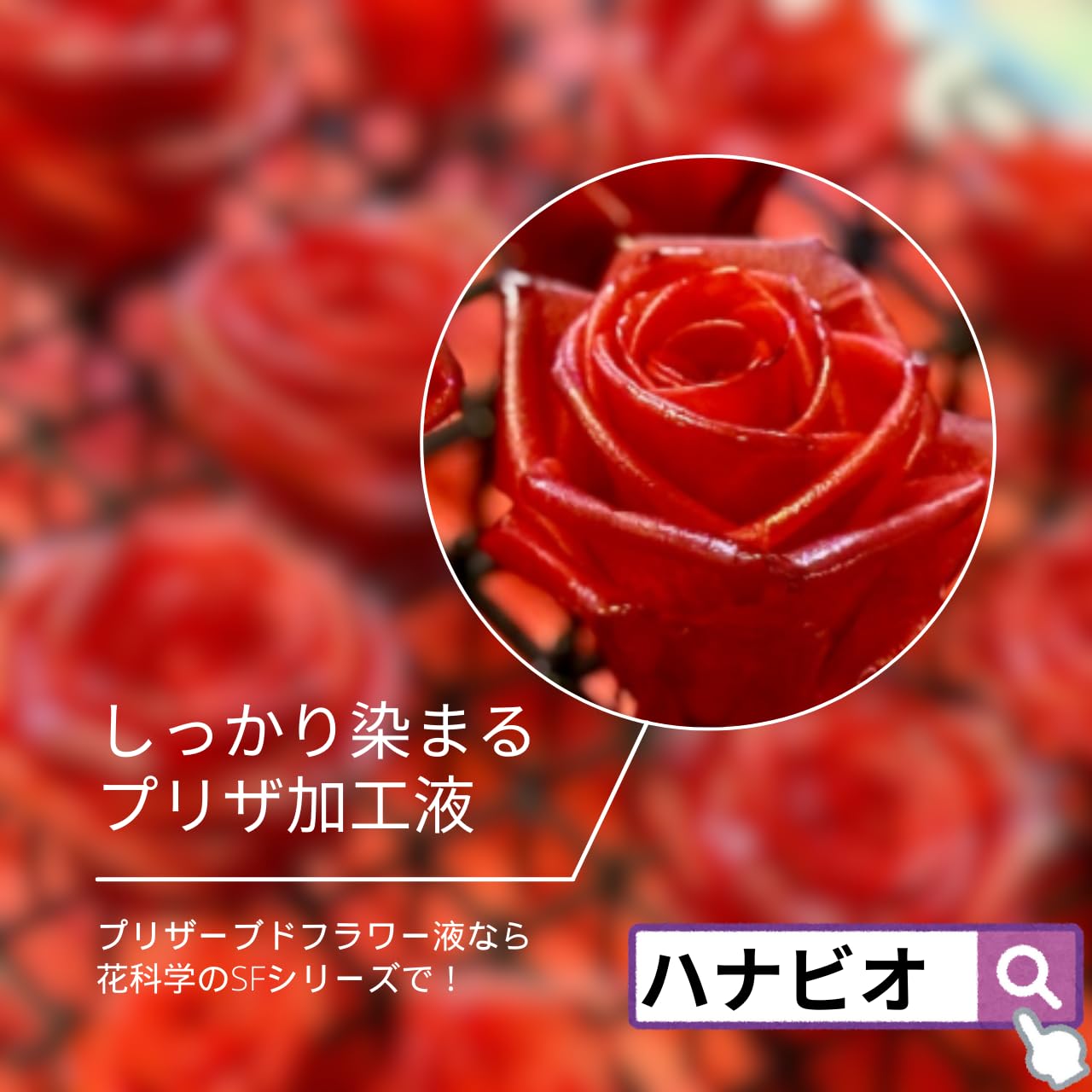 Amazon.co.jp: 花科学 かんたんプリザーブドフラワー加工液