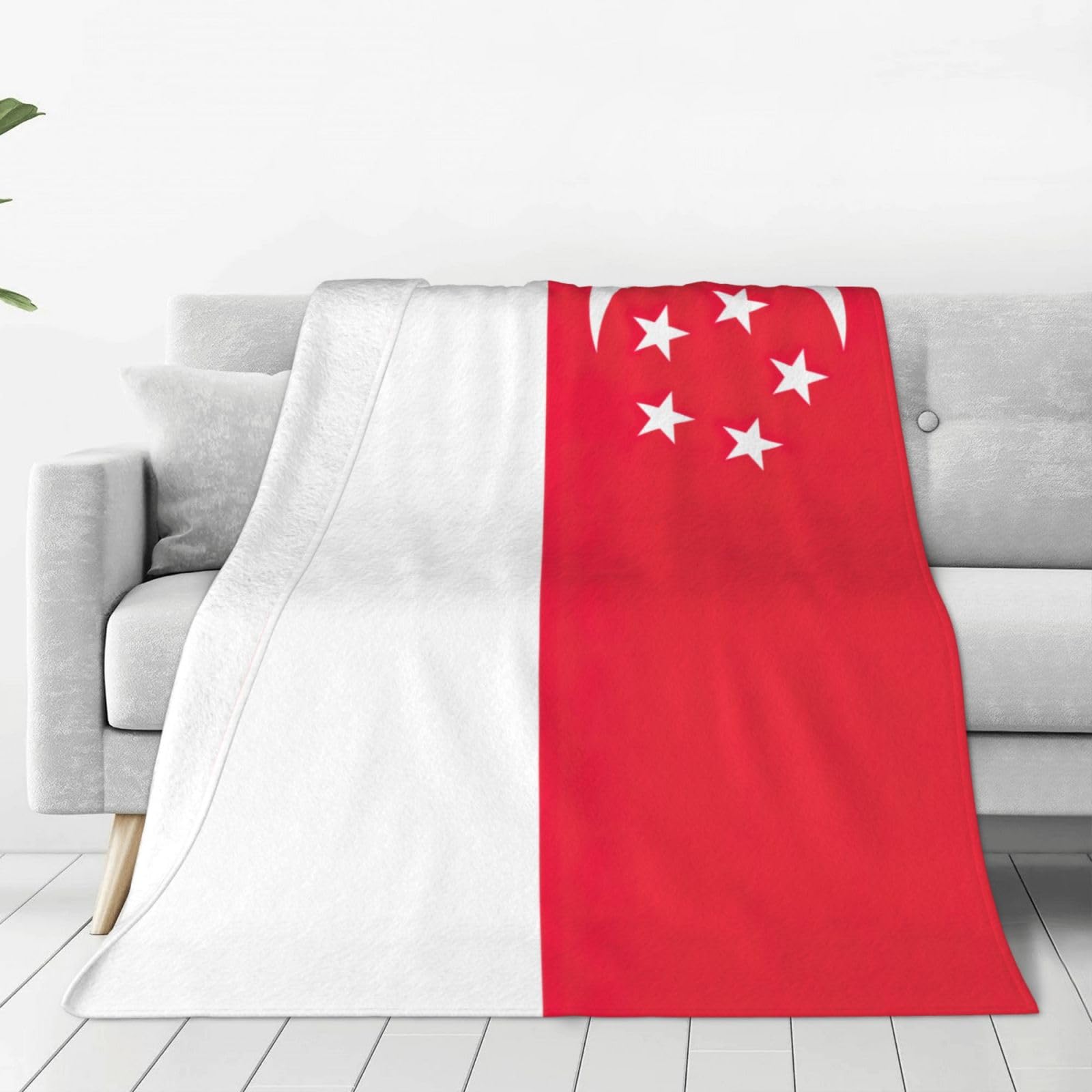 Couverture polaire Singapour jeté de lit haut de gamme chaud et moelleux