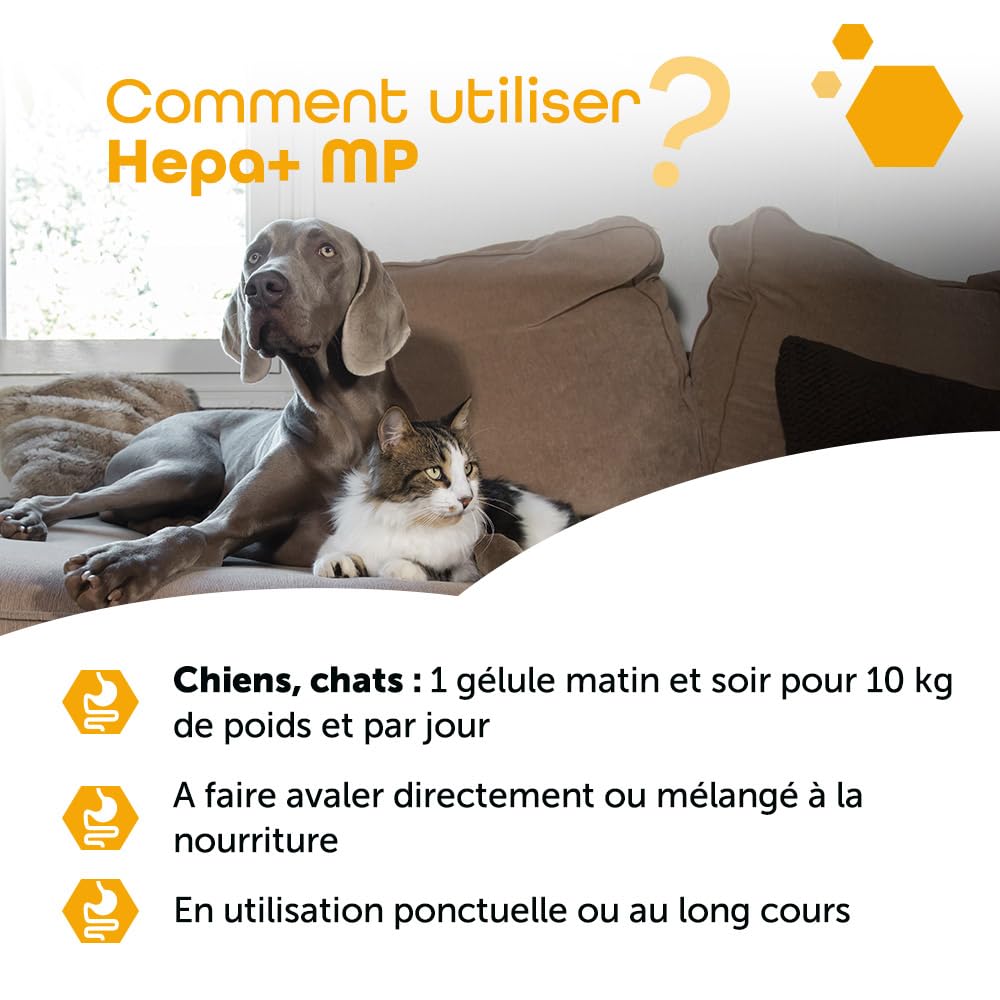 MP Labo Hepa+ MP 60 Gélules - Protection des Cellules Hépatiques et Bon Fonctionnement Hépato-biliaire pour Chien et Chat - Contient Chardon-Marie, Fumeterre, Anti-oxydants, Minéraux et Vitamines