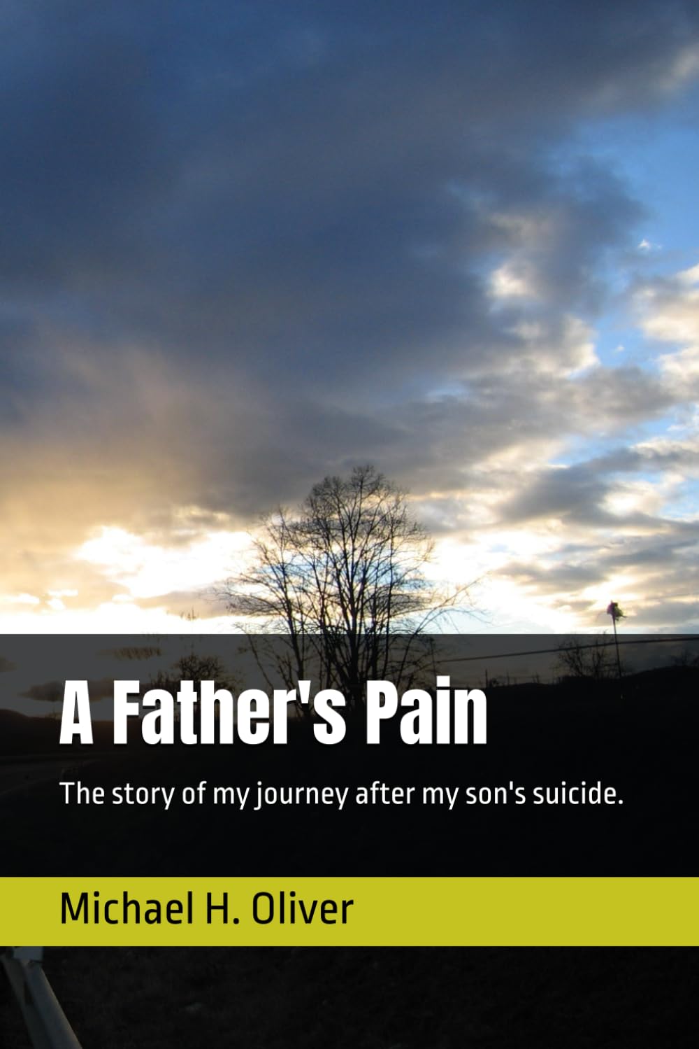 A Father's Pain: The story of my journey after my son's suicide.
