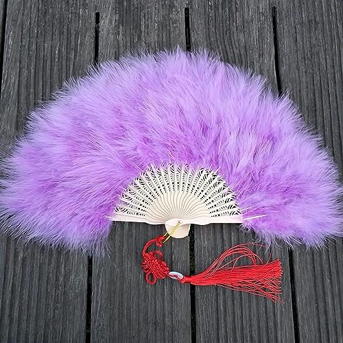 LIPOMA Handwerkventilator, Federventilator, Feder- Faltfächer, Tanz- Handfächer, Kunst, Geschenk, Hochzeit, Party- Dekoration (Farbe: SKU- 2) (Color: Sku5)