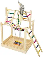 Playground Parquinho Com Brinquedo Para Calopsita e Outras Aves