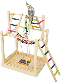 Playground Parquinho Com Brinquedo Para Calopsita e Outras Aves
