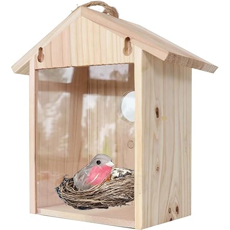 Amazon Co Jp Potato 野鳥用巣箱 吸盤付き 野鳥観察 バードハウス シンプル スタンド 窓の装飾小鳥の巣箱 バードハウス お庭でバードウォッチング インテリア 巣箱 おしゃれなデザイン バードウォッチング ガーデン ペット用品