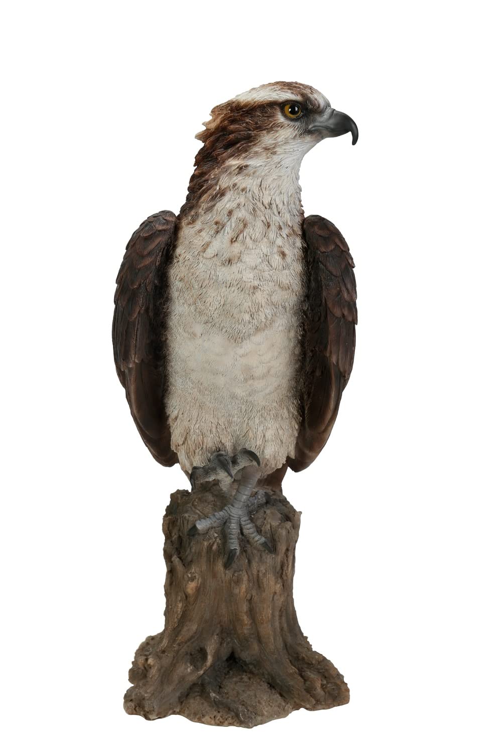 Vivid Arts Garden Decor, Birds - Osprey - WBC-OSPR-A
