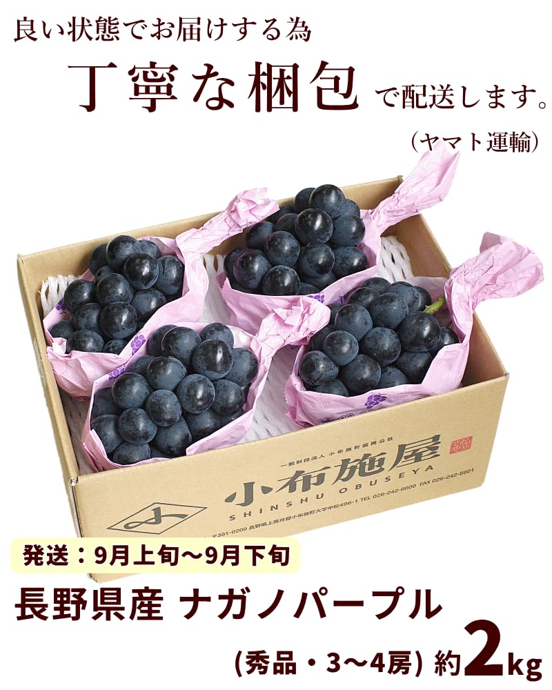 Amazon.co.jp: ぶどう ナガノパープル 長野県産「ナガノパープル」 秀