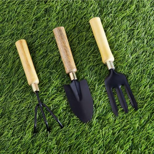 Image of 3-Piece Gardening Tools Kit for Home (Wooden Handle Cultivator,Fork, Small Trowel) Stainless Steel Garden Set, Farming Tool for Indoor Outdoor Agriculture Use (GTK)