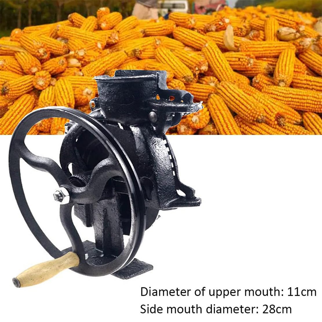 Sgranatrice Manuale per Mais - Robusta con Manico in Legno, efficienza 40-60 kg/h, Macchina efficiente per la sgranatura del Mais (B)