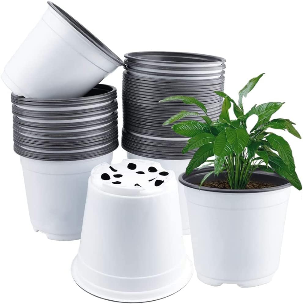 plantas y huerto urbano.