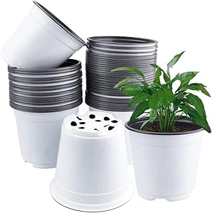 Vaso per piante sfuse thumbnail classifica