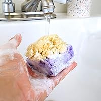 Vista 5 de Primal Elements Jabón en barra de esponja de lavanda y arándanos (paquete de 2)