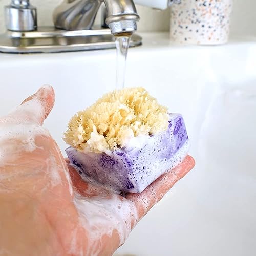 Miniatura 5 de Primal Elements Jabón en barra de esponja de lavanda y arándanos (paquete de 2)