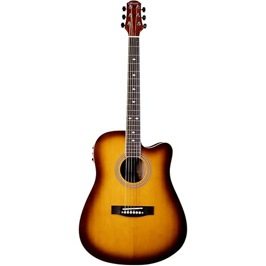 Hertz Electro Acoustic Guitar HZA 5100 Sunburst