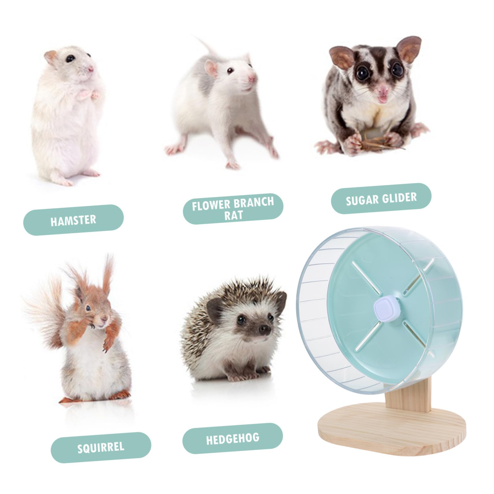 SOIMISS 1 Ensemble Roue Silencieuse pour Hamster avec Support Adorable pour Rongeurs pour Chinchillas et Améliore Animal