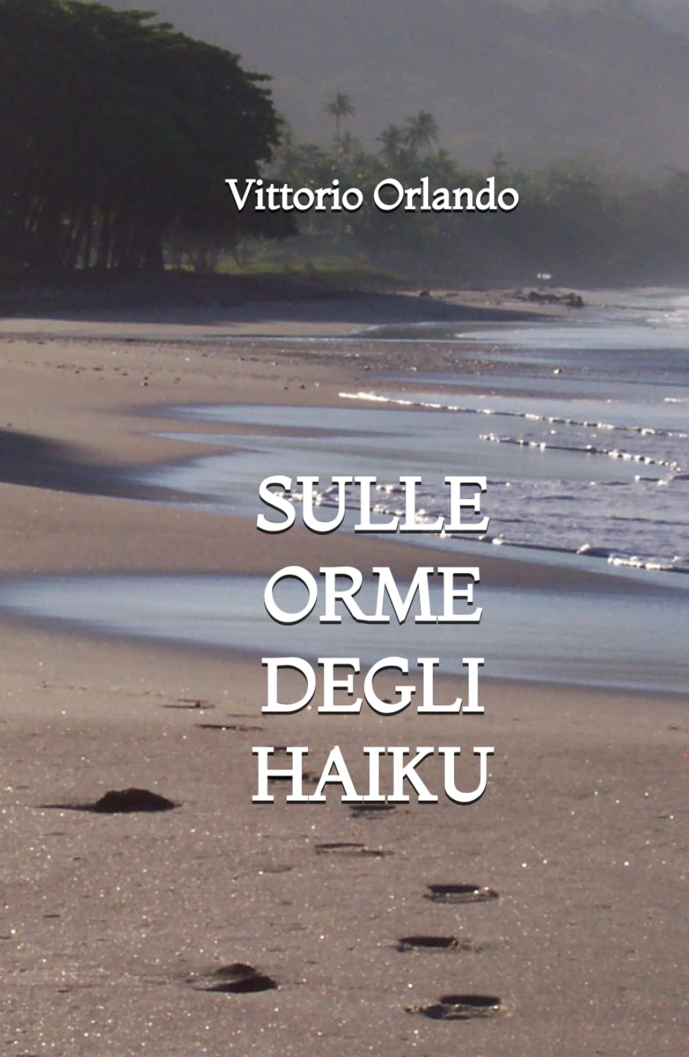 Sulle orme degli Haiku