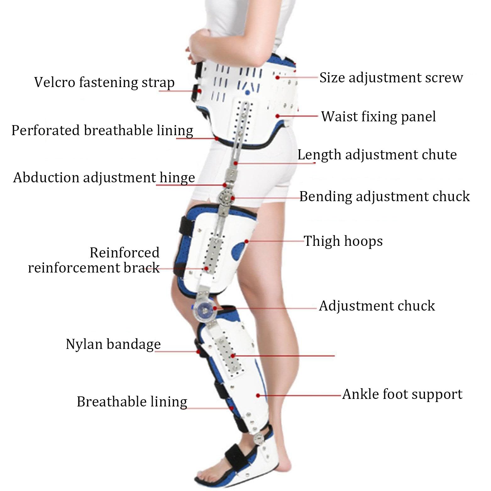 Ortezy Biodrowo-Kolanowe Ze Stopą I Butami Ortopedycznymi, Ortopedyczny Stabilizator Kolana, Regulowany Stabilizator Kolana Do Rehabilitacji Po Złamaniach Biodra, Stały Stabilizator Left-M