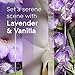 Glade PlugIns Refills Air Freshener, Scented and Essential Oils for Home and Bathroom, Lavender & Vanilla, 2.01 Fl Oz, 3 Count