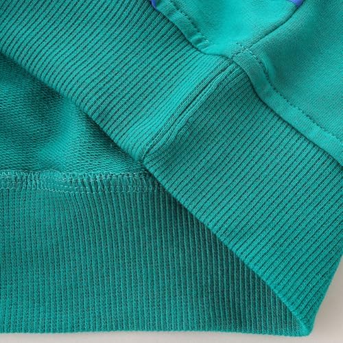 Toddler Boys Sweatshirts Cartoon Graphic Long Sleeve Crewneck Pullover Tops 2-7T4