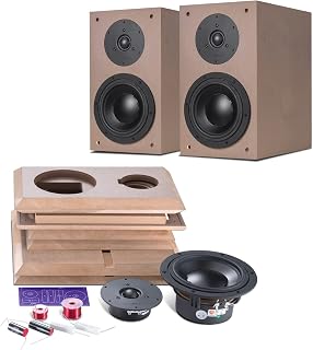 HiVi-Swans DIY 2.2A Passive Bookshelf Speaker - 2-Way DIY Speakers Kit Near-Field Use - Compact Wooden Cabinet - Pair - Black
