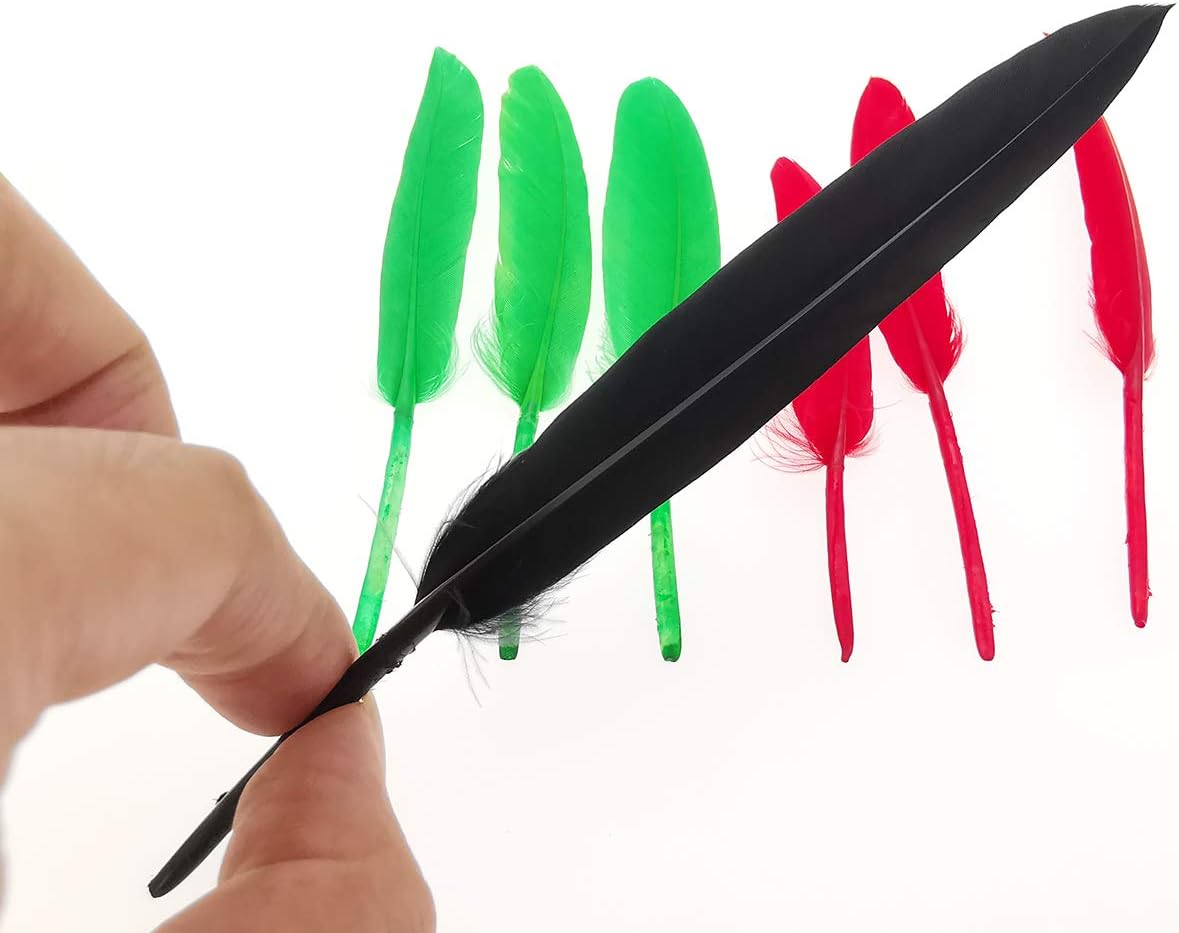 Dxeud Colorful Goose Feathers 100pcs/pack/ (10pcs X10colors) (4-6 inch)