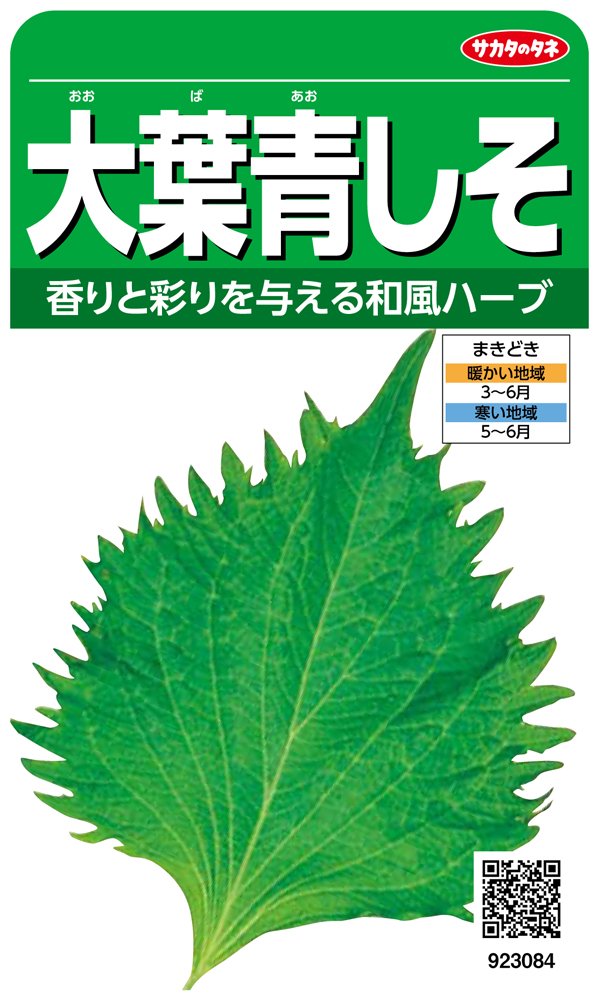 Amazon | サカタのタネ 実咲野菜3084 大葉青しそ 00923084 | 野菜