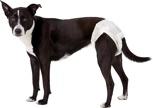 dogit disposable diapers