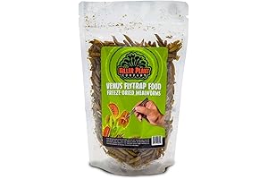 Supercharge Your Venus Fly Trap: Nourishing Freeze-Dried Meal Worms