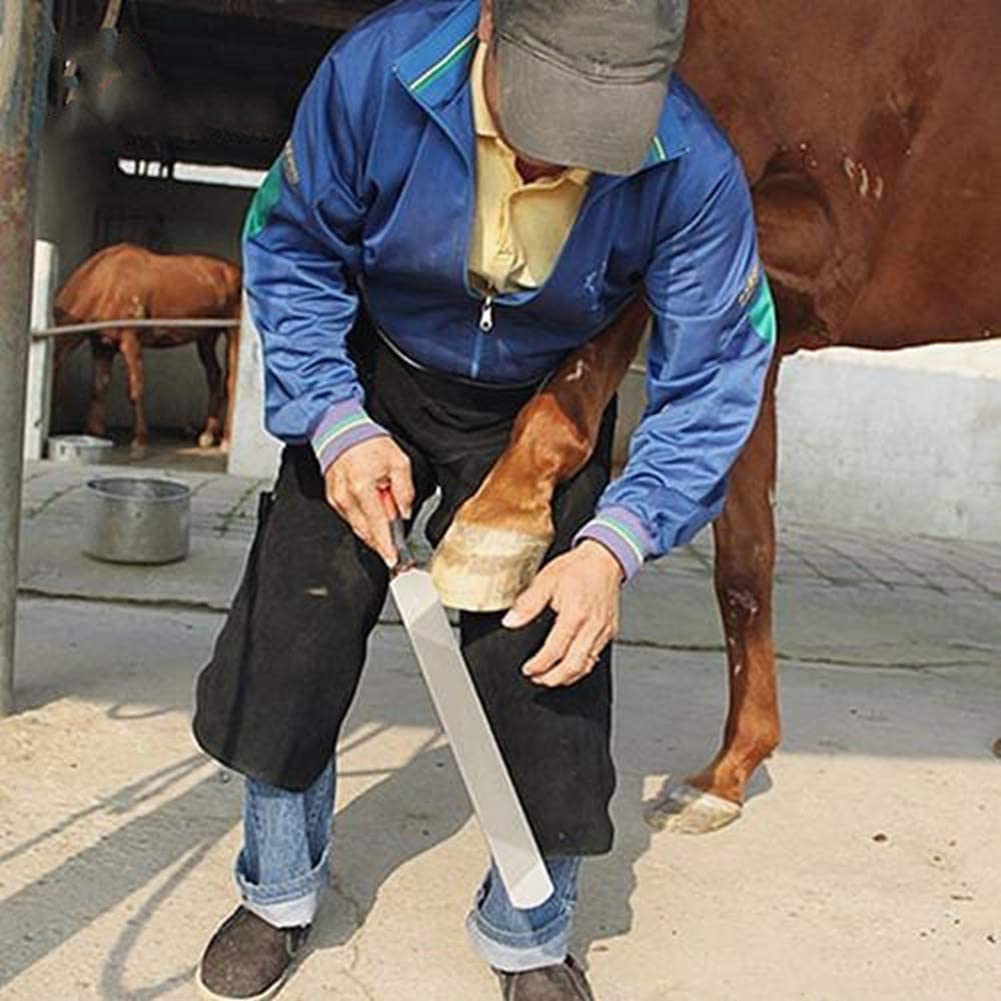 Kit de Pinzas para pezuñas de Caballo, Herramienta para Recortar pezuñas de herrador de Cabra, Herramientas con Cuchillo con Mango, Equipo Estable, Tijeras de Herradura para manicura, uñas de Cab
