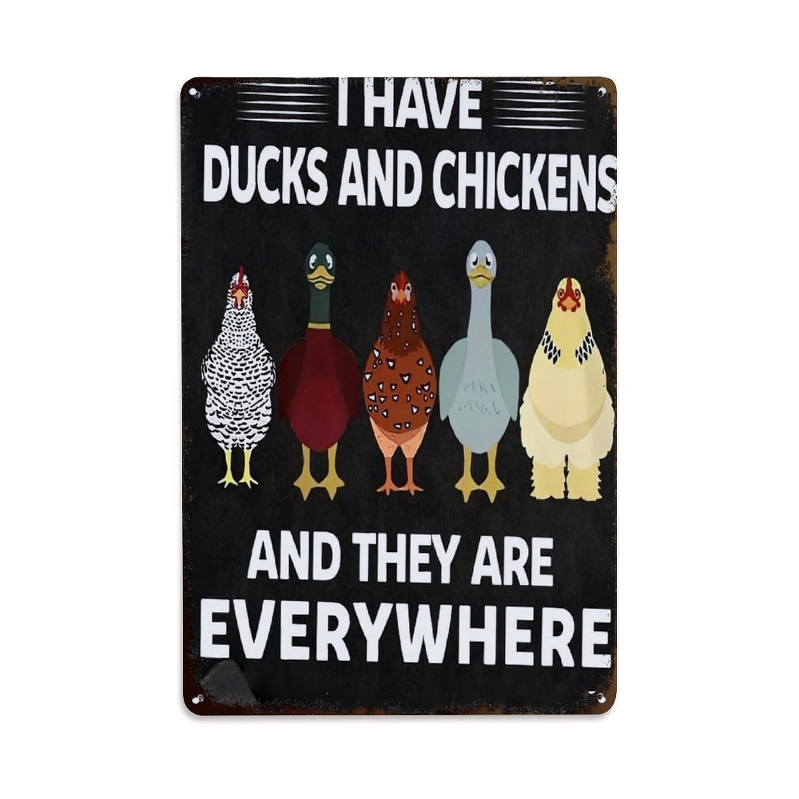 Jdfenggu Vintage I Have Ducks And Chickens Retro Metal Tin Sign, Metal Poster For Bar, Home, Man Cave, Kitchen, Laundry Room Art Decor 8X12 Inch