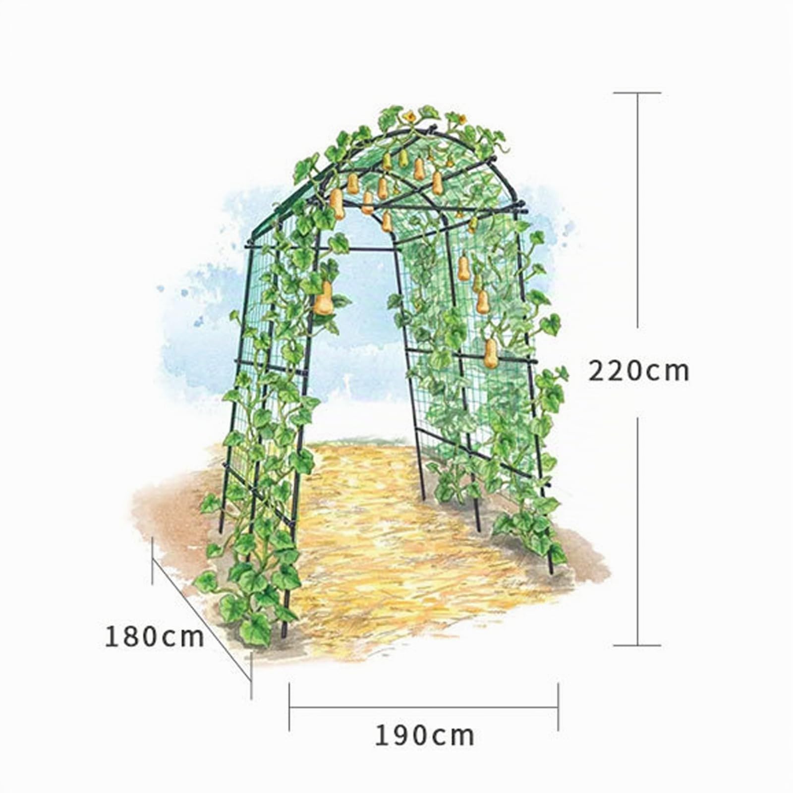 Support de treillis de jardin pour plantes grimpantes, support de concombre grimpant pour parterre surélevé, légumes avec filet, cadre de plantes en métal pour légumes, fleurs, fruits, 180 x