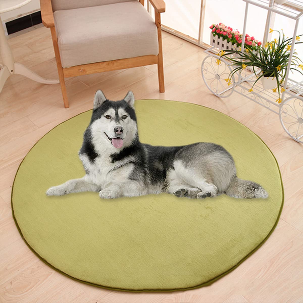 Waigg Kii Large Dog Bed Mat,Coral Velvet Soft Round Carpet Area Rug Pet Mat,Anti-Anxiety Dog Mattress for Small Medium Large Cats Dogs (60CM,Green)