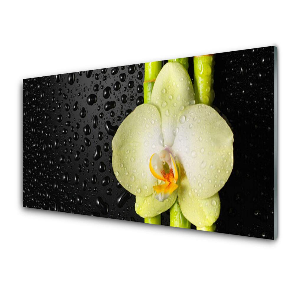Déco murale bambou zen pour salon : tableau en verre trempé 100x50 cm