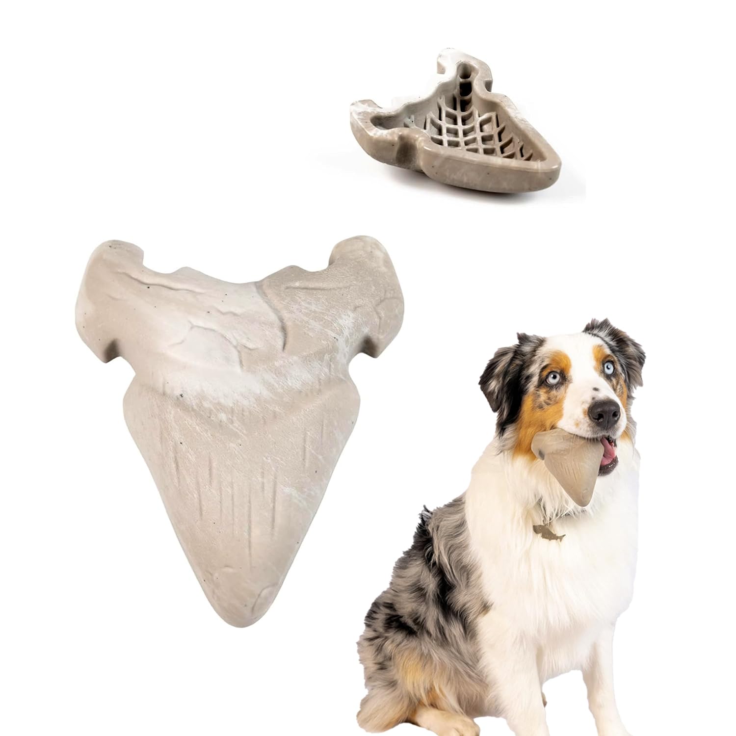 Megalodon Tooth Jouet interactif pour chien à mâcher pour des après-midis calmes à la maison