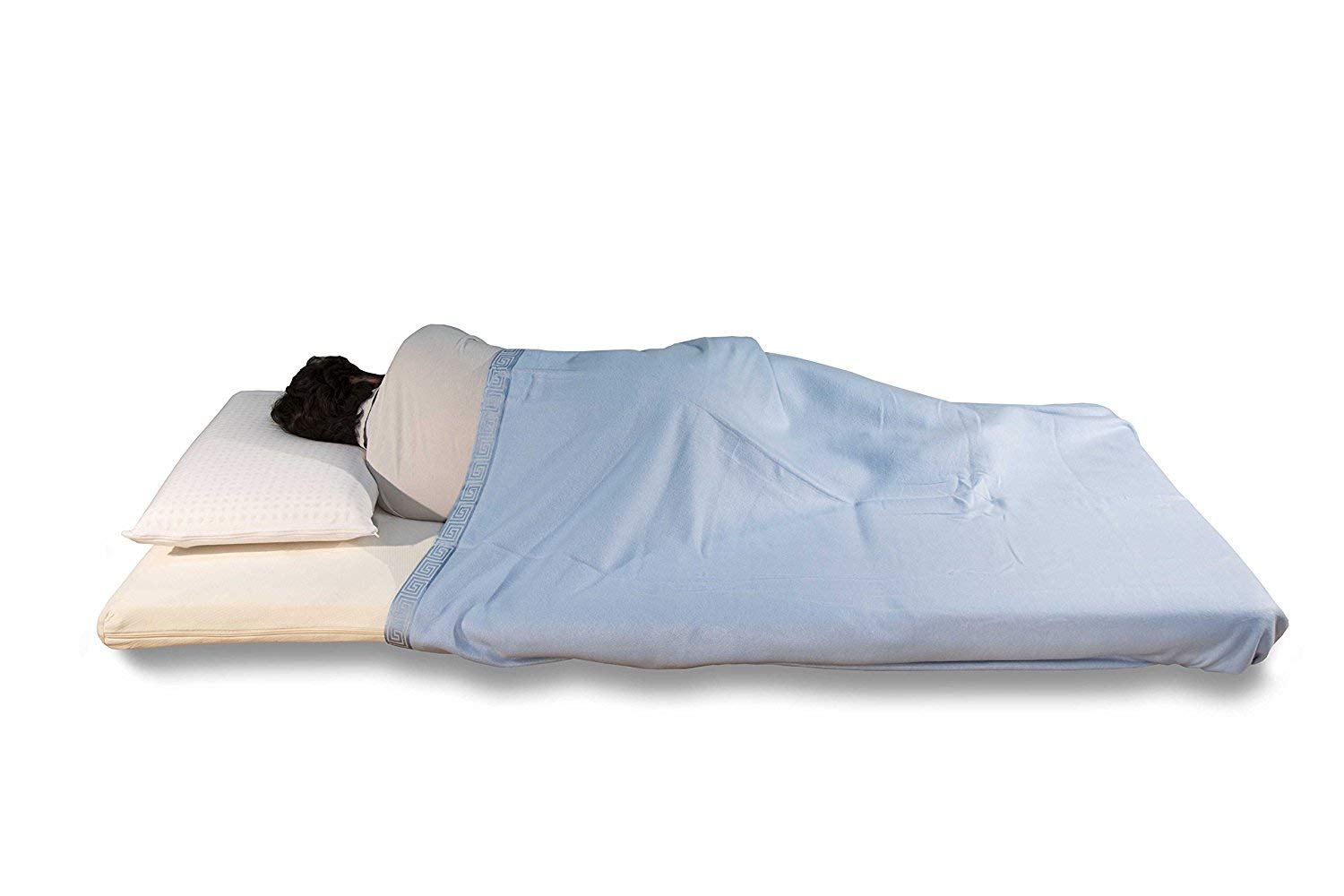 EVERGREENWEB Gästematratze Futon Einzelbett 80x200 cm aus Kaltschaumstoff, 10 cm Hoch, 3-teilige Klappbare Matratze, Herausnehmbarer, Waschbarer Bezug, Platzsparende Matte, Hypoallergen