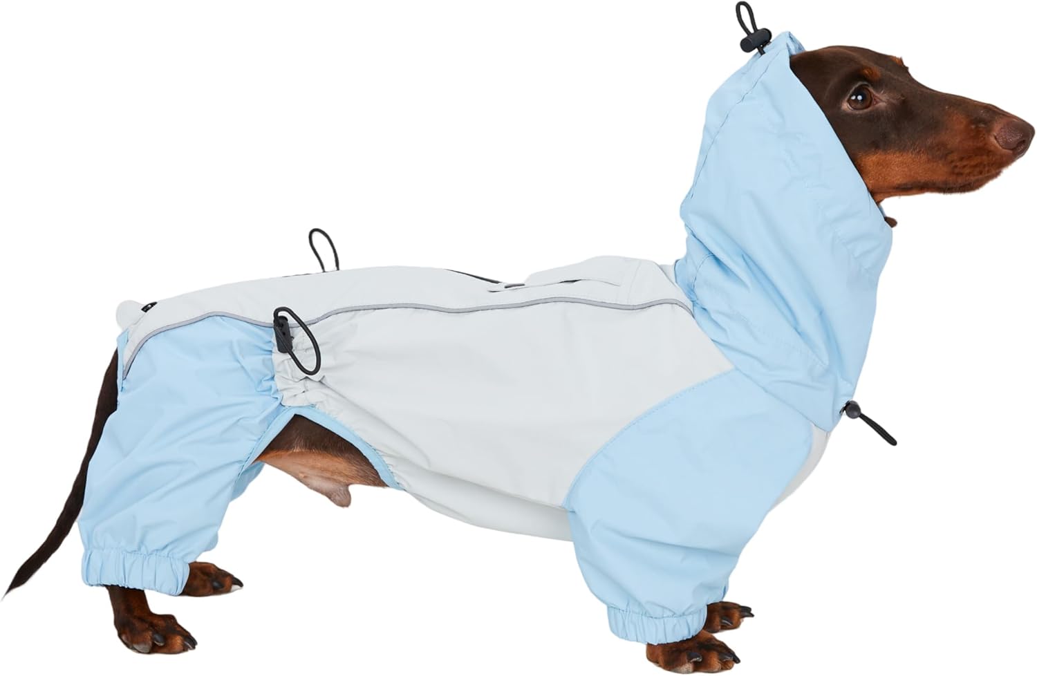 4 Pack....Dachshund Dog Raincoat with Legs, Waterproof Full Body Jacket, Hooded Outdoor Windbreaker for Small & Medium Dogs, Mini Dachshund Puppy Coat (Small (9-13lbs))