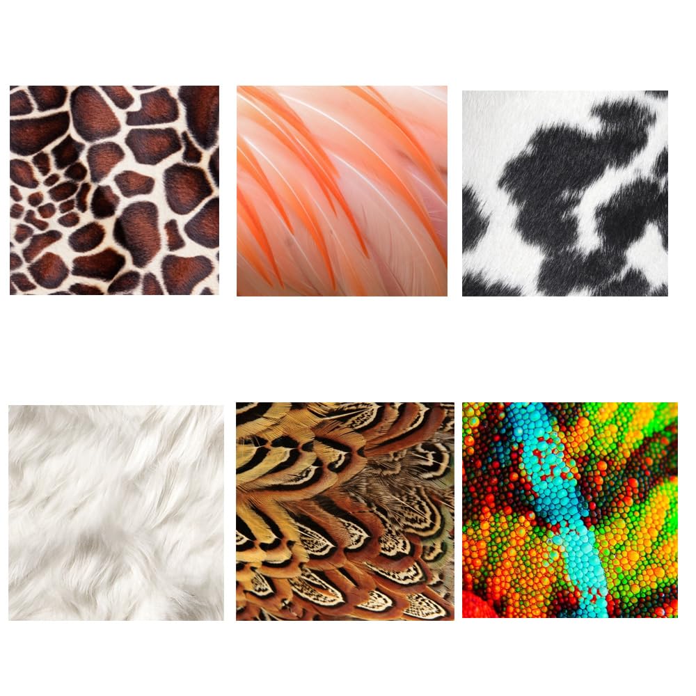 Paquete de 20 hojas A4 con estampado de animales