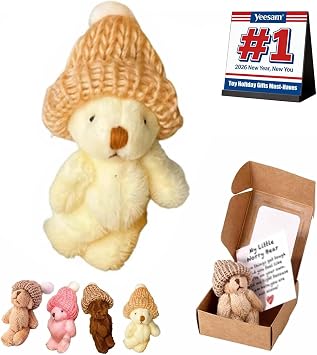 Handmade Mini Plush Teddy Bear in Box, Little Bear in A Box, My Little Worry Bears, Mini Pocket Bears Hug Plush with Emotional Uplifting Support Card, Soft Handmade Teddy Keepsake for LoversWhite