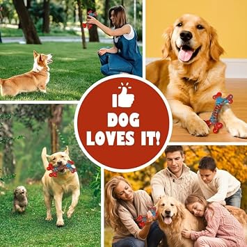 Durable Dog Chew Toy Bone, Red and Blue, for Aggressive Chewers, 2 Pack