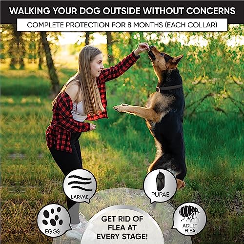 4-Pack-Flea-and-Tick-Collar-for-Dogs-8-Month-Protection-Flea-Collar-for-Dogs-Flea-Tick-Collar-for-Dogs-Dog-Flea-and-Tick-Collar-Black