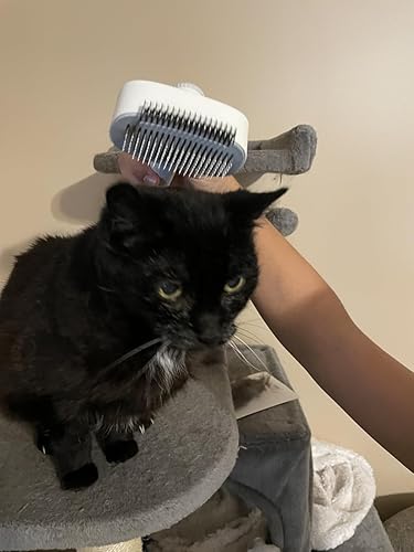 Dog & Cat Brush for Shedding — close-up of materials and construction quality