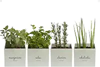 Kit 4x Vasos Autoirrigáveis Minha Horta Branco Cinza Creme Rosa Salmão Jardim Hortaliças Manjericão Salsa Alecrim Cebolinha (Cinza)